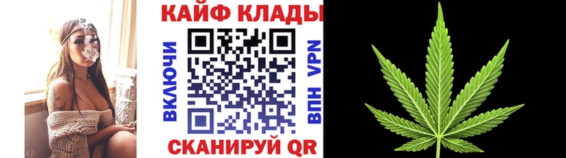Галлюциногенные грибы Покачи